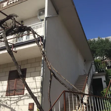 Stanicicke
